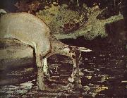 Winslow Homer Deer drink Sweden oil painting artist